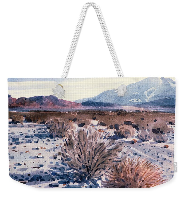 Sage Weekender Tote Bag featuring the painting Evening in Death Valley by Donald Maier