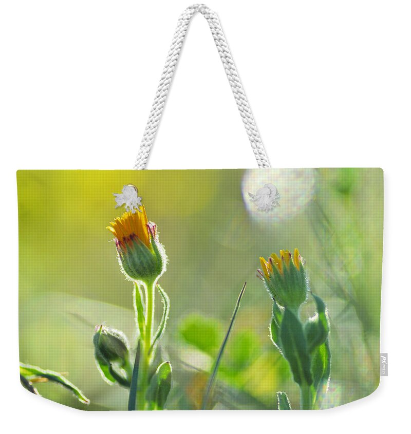 Flower Weekender Tote Bag featuring the photograph Evening Lights by Guido Montanes Castillo
