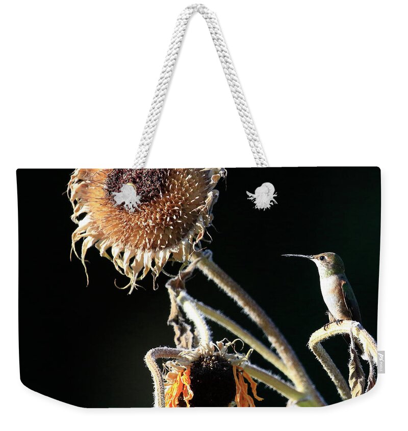 Humming Bird Weekender Tote Bag featuring the photograph Evening Perch by Steve McKinzie