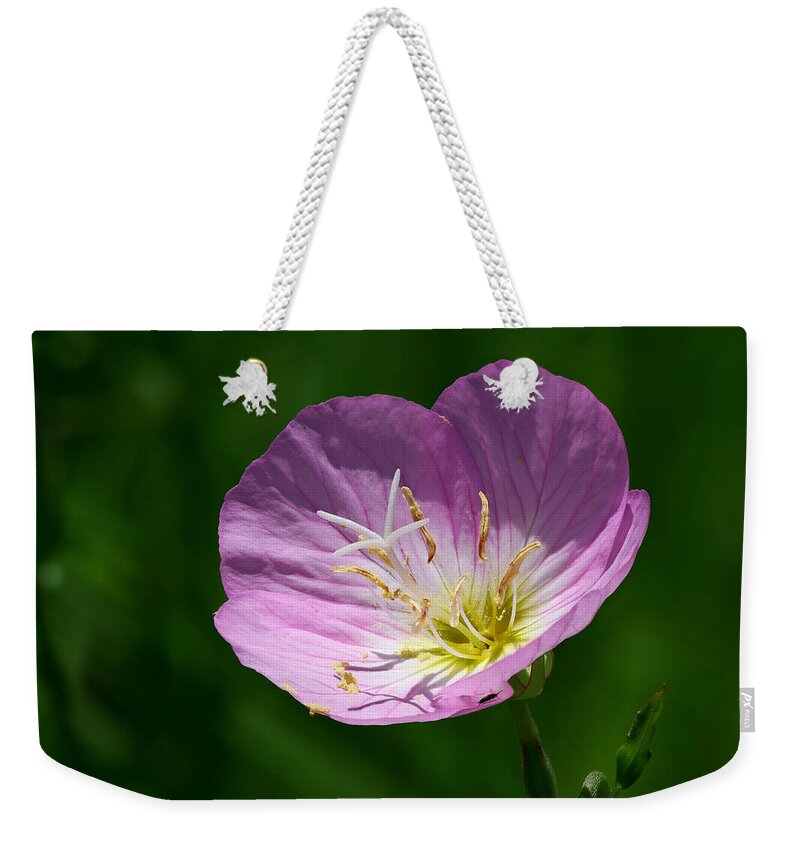 Evening-primrose Weekender Tote Bag featuring the photograph Evening-primrose by Yuri Peress