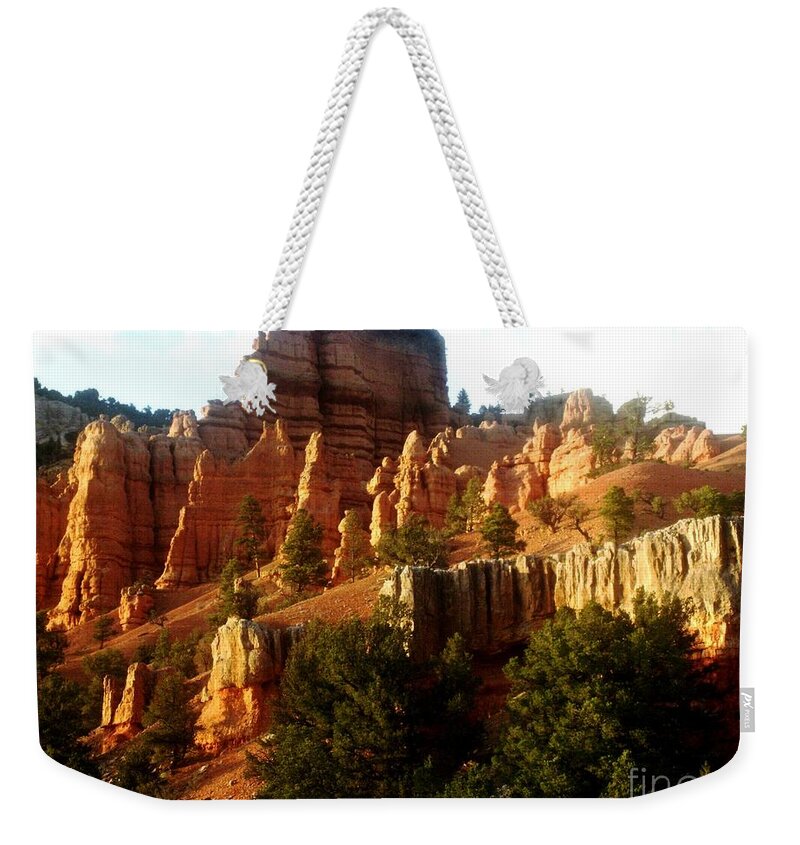 Landscape Weekender Tote Bag featuring the photograph Evening Sun by Sheila Ping