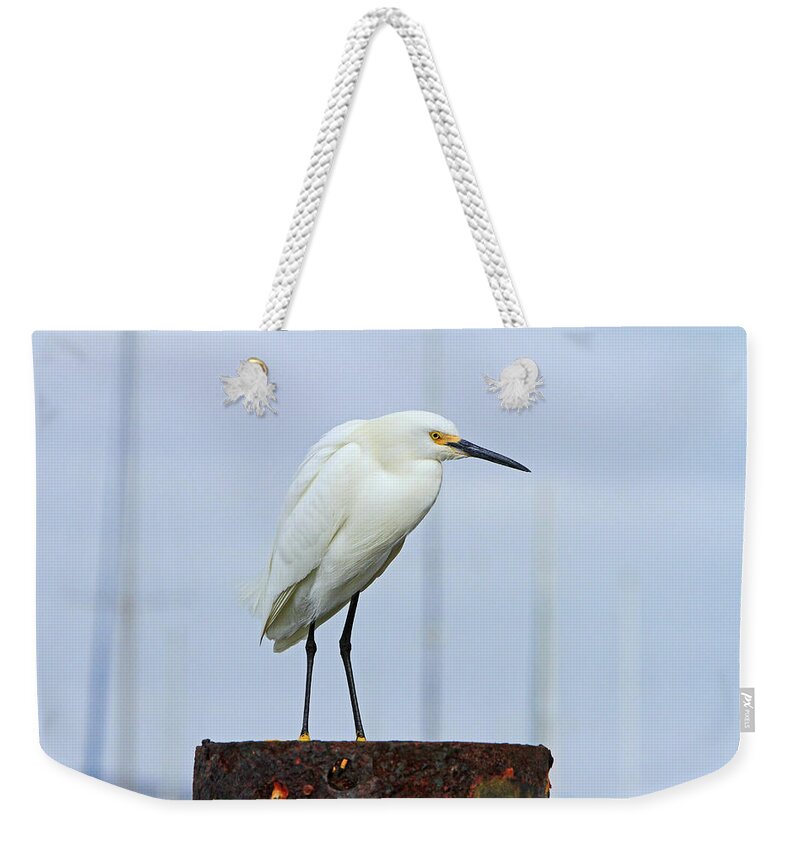 Egret Weekender Tote Bag featuring the photograph Ever Watchful by Shoal Hollingsworth