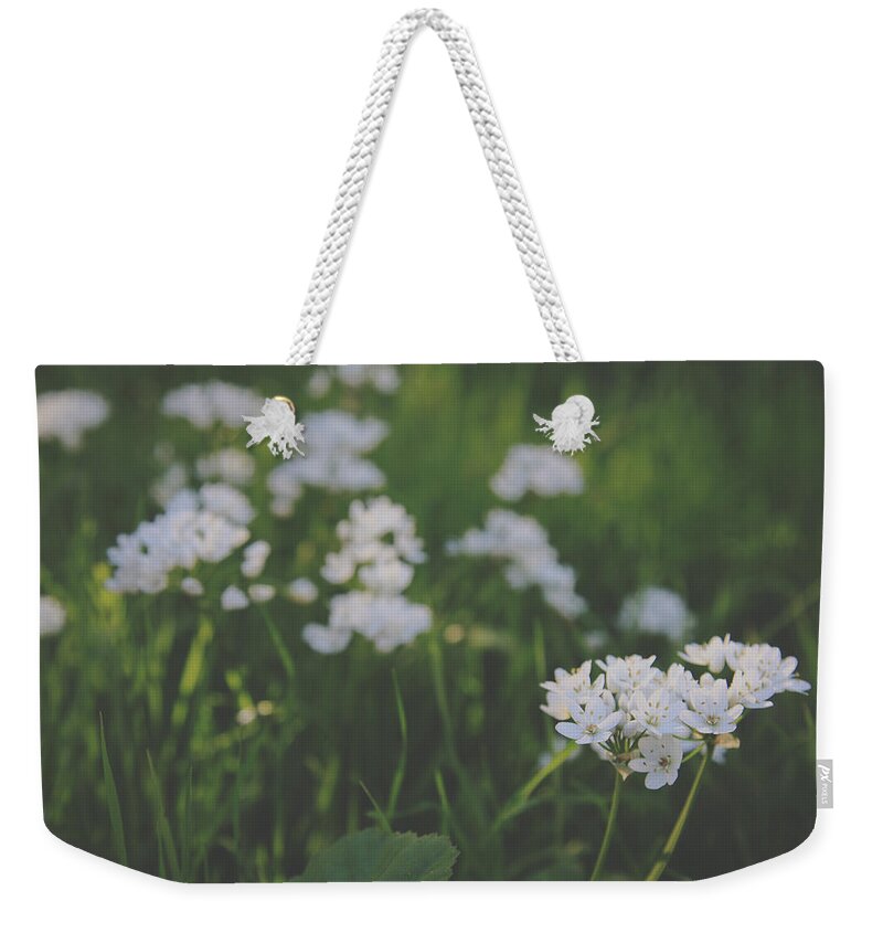 Flowers Weekender Tote Bag featuring the photograph Everything is New Again by Laurie Search