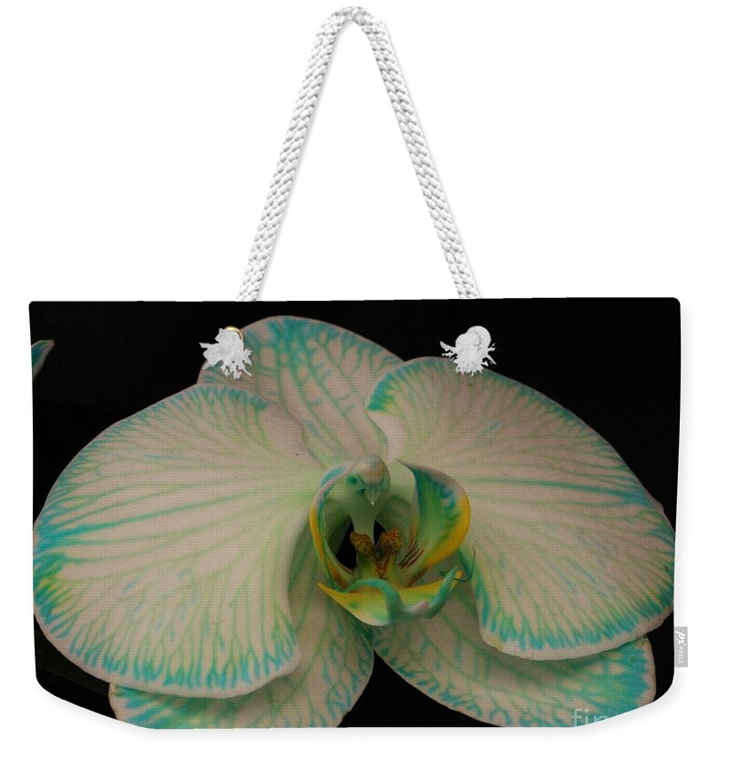 Orchid Weekender Tote Bag featuring the photograph Orchid in White and Turquoise by Dora Sofia Caputo