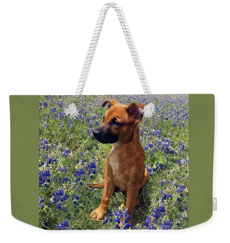 Abstract Weekender Tote Bag featuring the painting Expressive Puppy and Bluebonnets Photo A19316 by Mas Art Studio