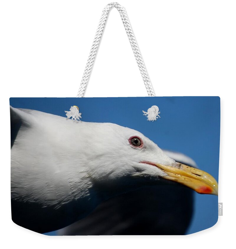 Seagull Weekender Tote Bag featuring the photograph Eye of a Seagull by Sumoflam Photography