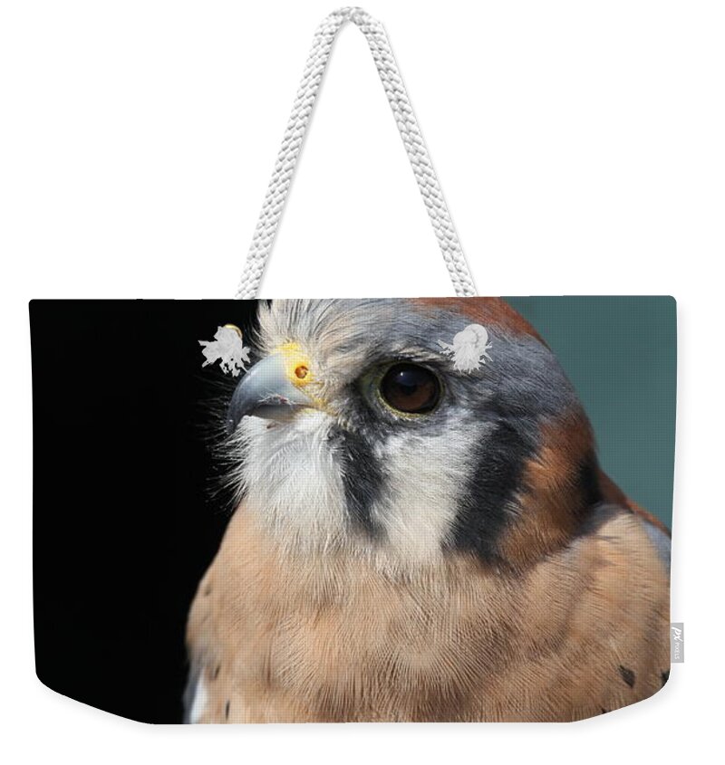 Falcon Weekender Tote Bag featuring the photograph Eye of Focus by Laddie Halupa
