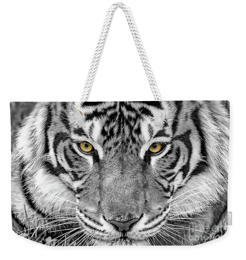 Artistic Weekender Tote Bag featuring the digital art Eye of the tiger by Ray Shiu