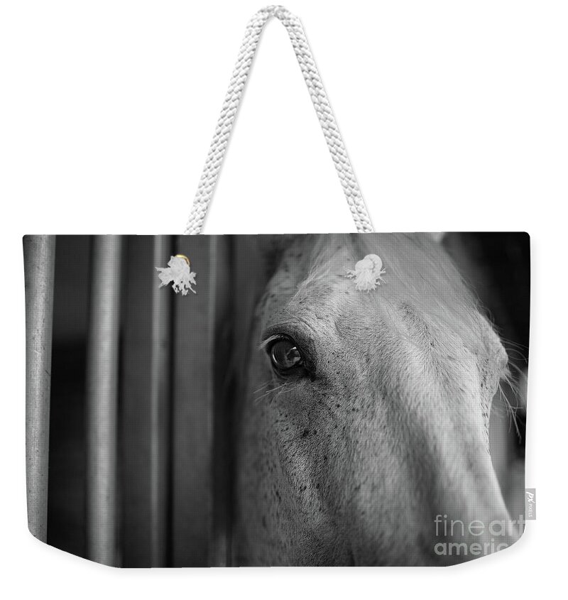 Eye Weekender Tote Bag featuring the photograph Eye See You by Patti Schulze