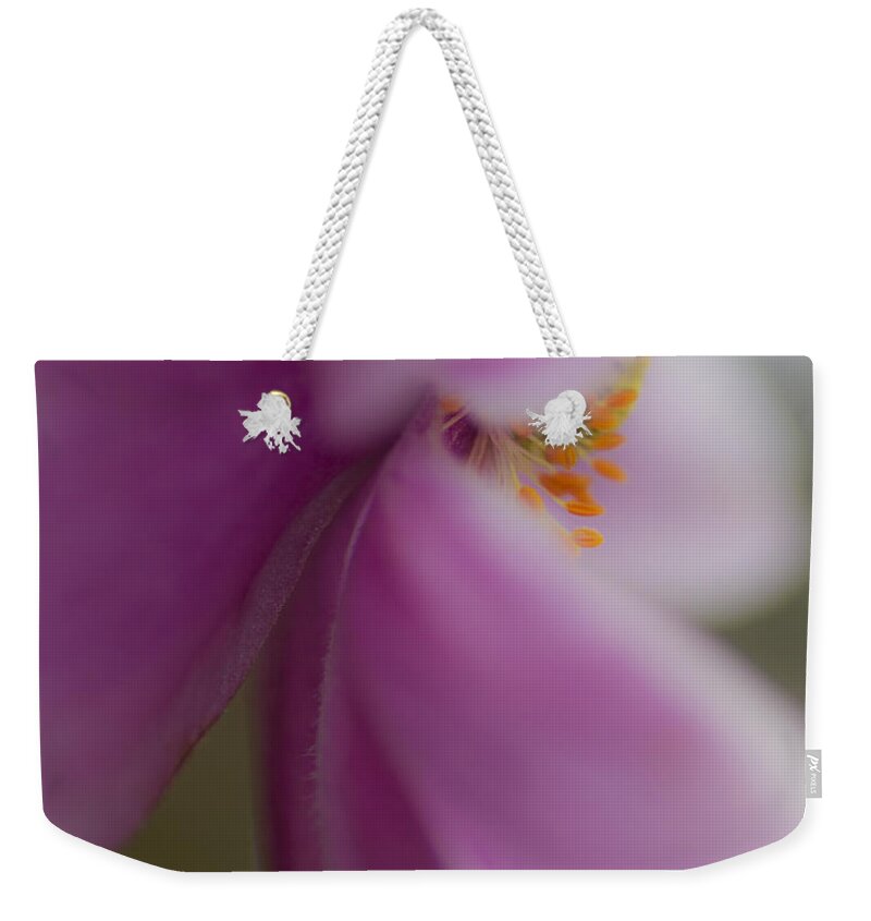  Anemone Weekender Tote Bag featuring the photograph Eyelashes by Diane Fifield