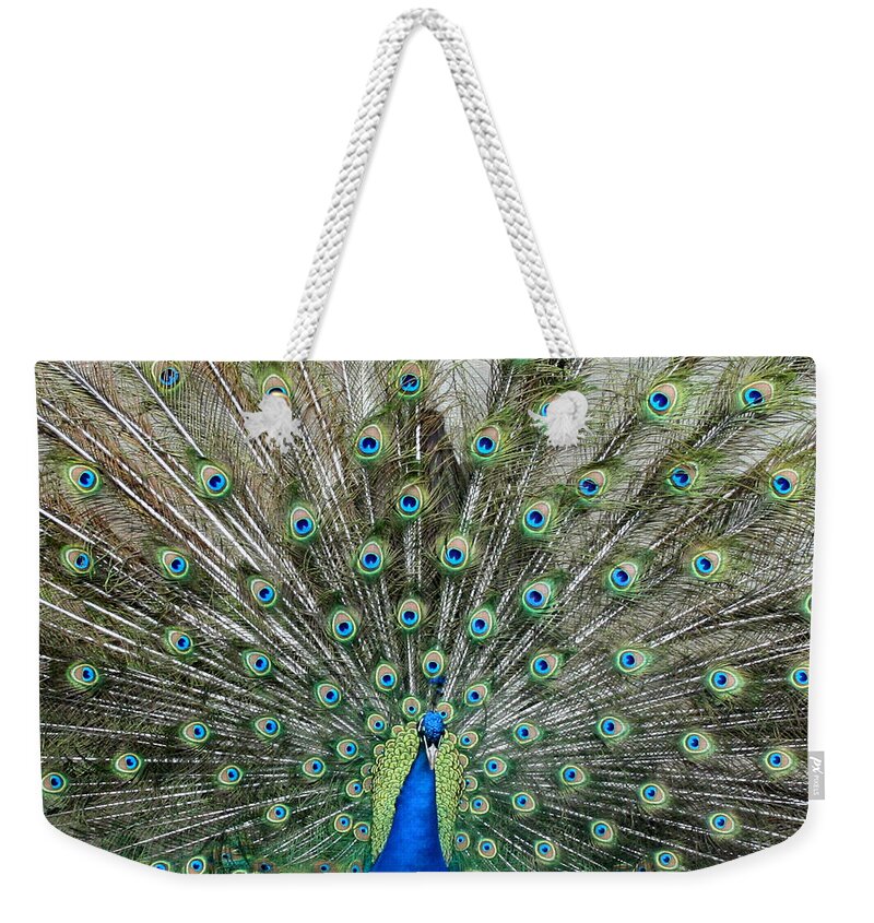 Peacock Weekender Tote Bag featuring the photograph Eyes See You by George Jones