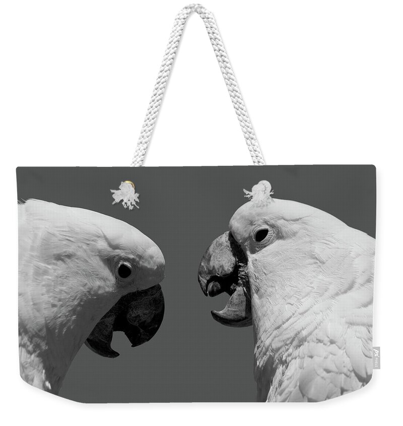Cockatoo Weekender Tote Bag featuring the photograph Face to Face IV BW by David Gordon