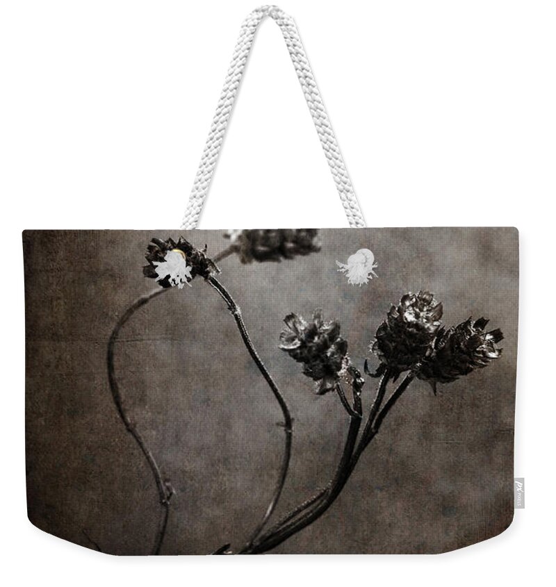Black Weekender Tote Bag featuring the photograph Fading Attraction by Randi Grace Nilsberg