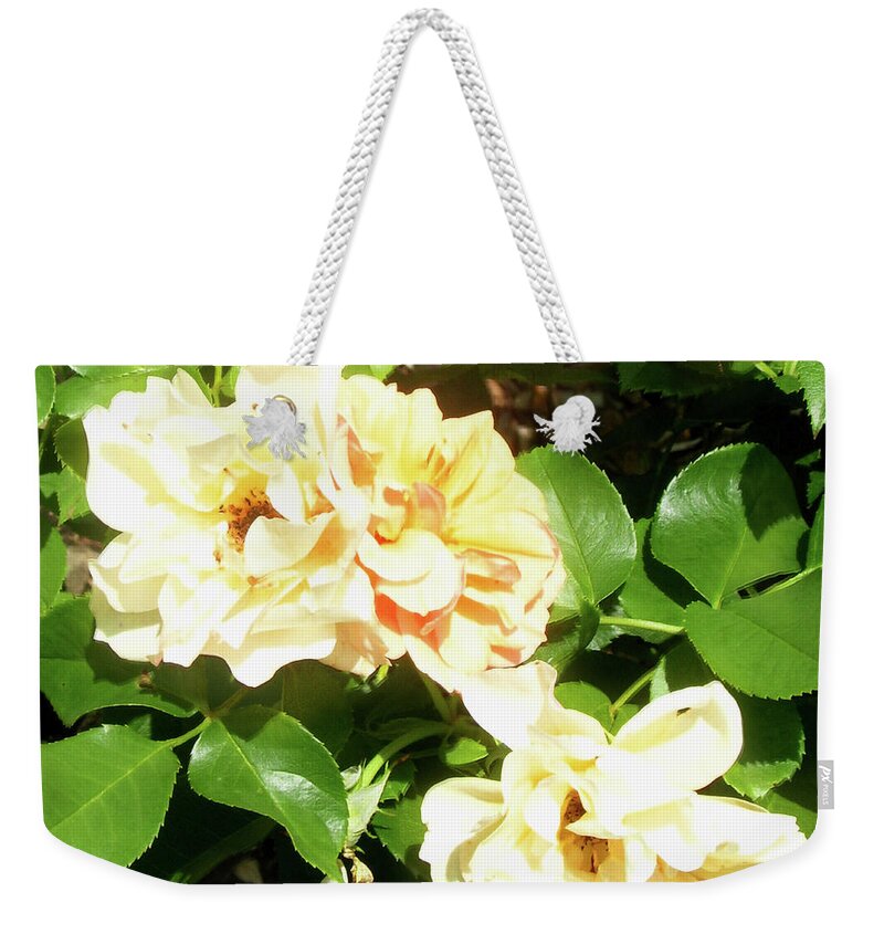 Fading Weekender Tote Bag featuring the photograph Fading Beauty by Melinda Dare Benfield