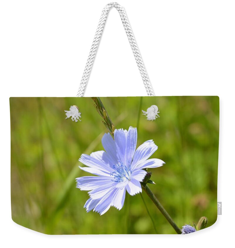  Weekender Tote Bag featuring the photograph Fairy Dust Origin by Dani McEvoy