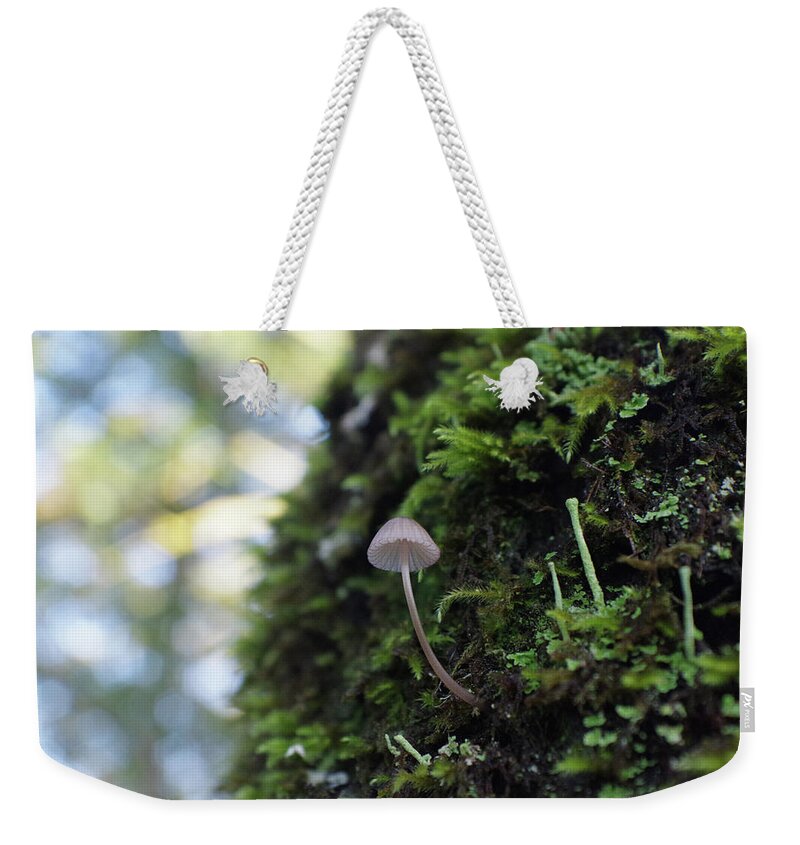 Adria Trail Weekender Tote Bag featuring the photograph Fairy Umbrella by Adria Trail