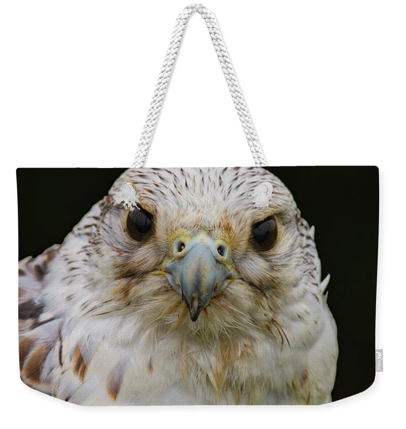 Falcon Close Up Weekender Tote Bag featuring the photograph Falcon Close Up by Mitch Shindelbower