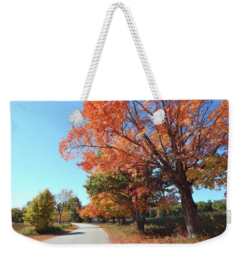 Landscape Weekender Tote Bag featuring the photograph Fall 2016 16 by George Ramos