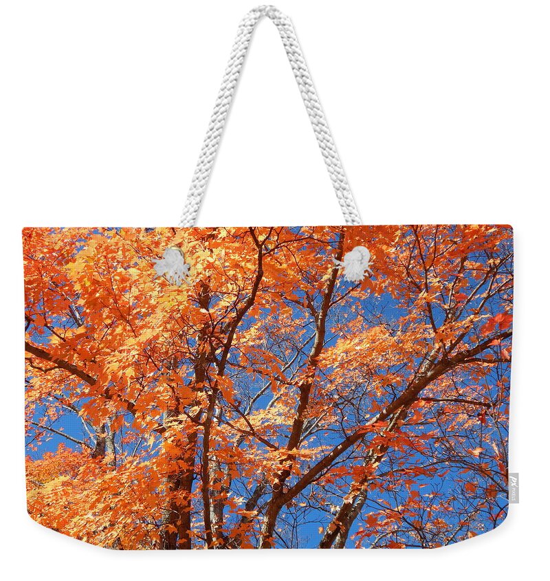Landscape Weekender Tote Bag featuring the photograph Fall 2016 17 by George Ramos