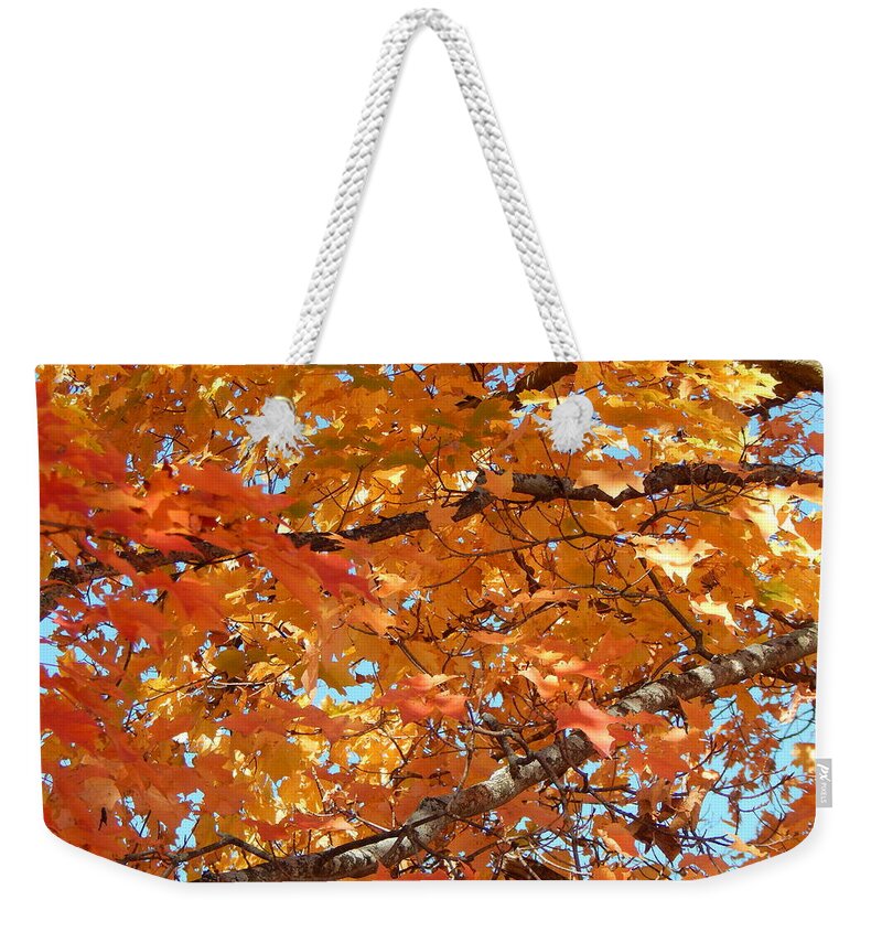 Landscape Weekender Tote Bag featuring the photograph Fall 2016 18 by George Ramos