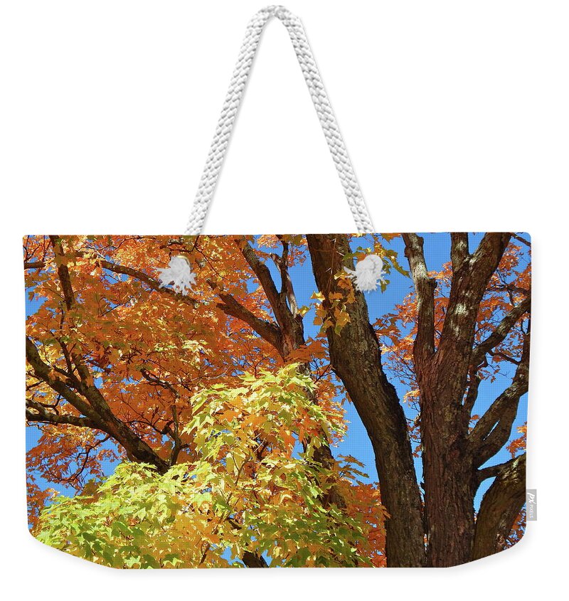 Landscape Weekender Tote Bag featuring the photograph Fall 2016 24 by George Ramos