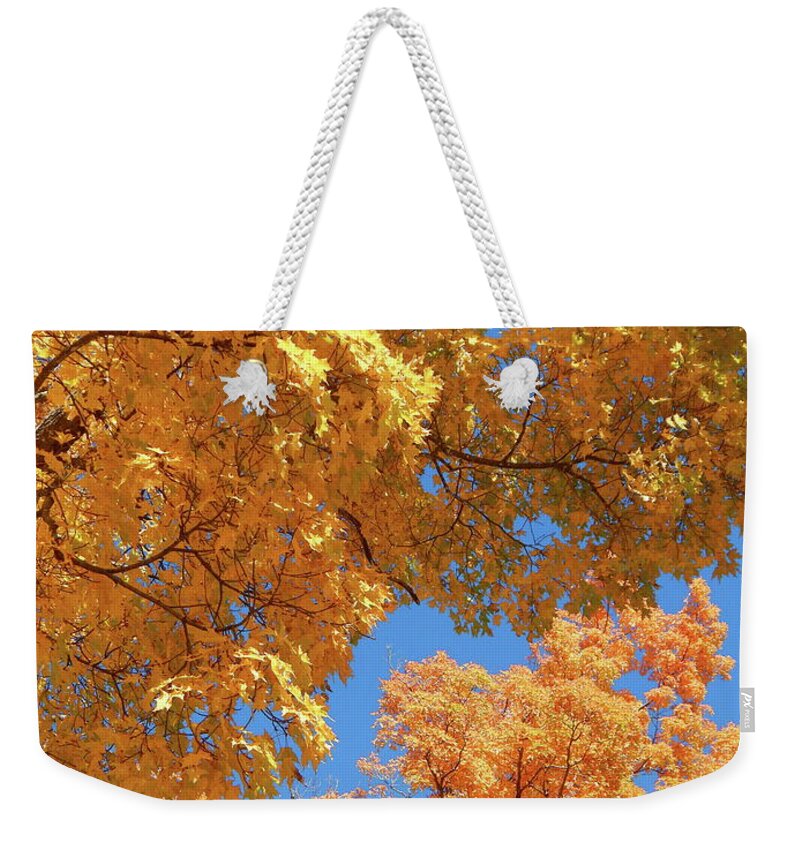 Landscape Weekender Tote Bag featuring the photograph Fall 2016 32 by George Ramos