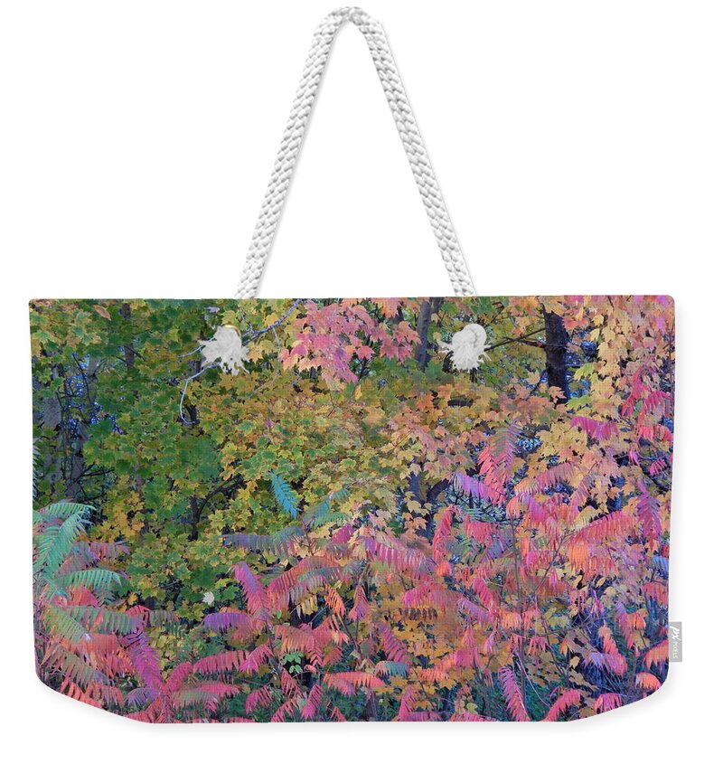 Landscape Weekender Tote Bag featuring the photograph Fall 2016 5 by George Ramos