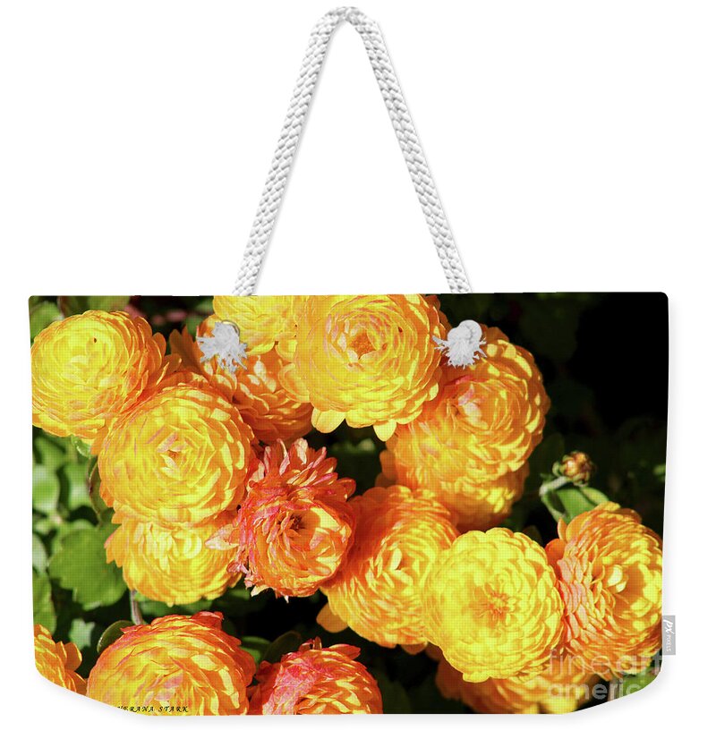 Mums Weekender Tote Bag featuring the photograph Fall 2016 Series no. 1 by Verana Stark