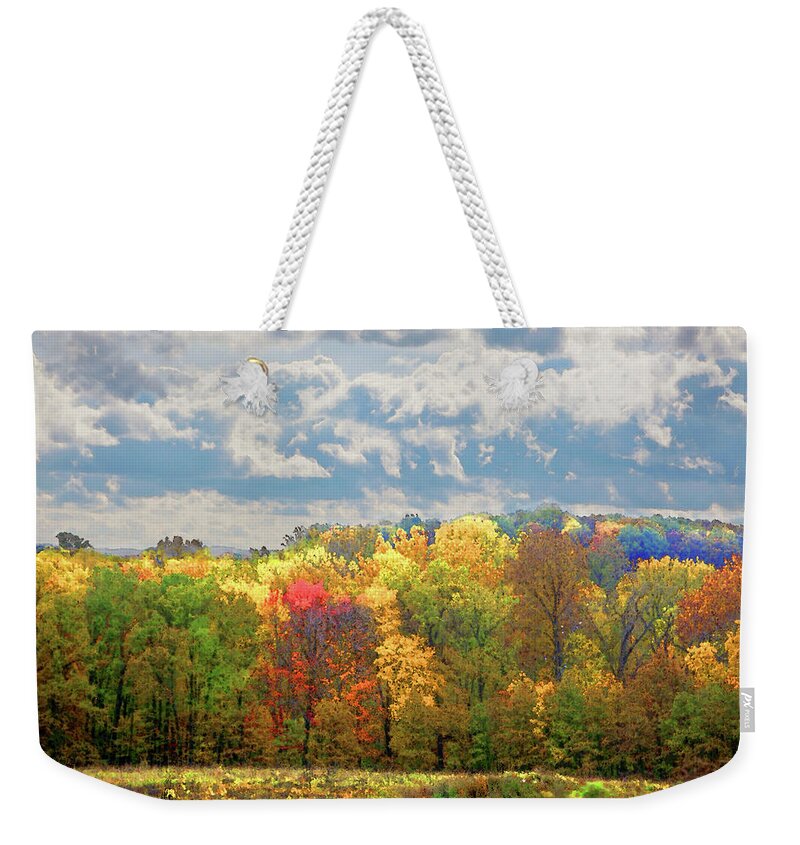 Health Care Weekender Tote Bag featuring the photograph Fall at Shaw by David Coblitz
