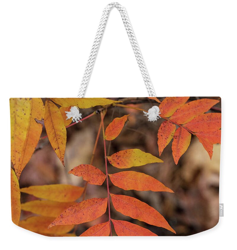 Scenic Weekender Tote Bag featuring the photograph Fall Color 5528 29 by M K Miller