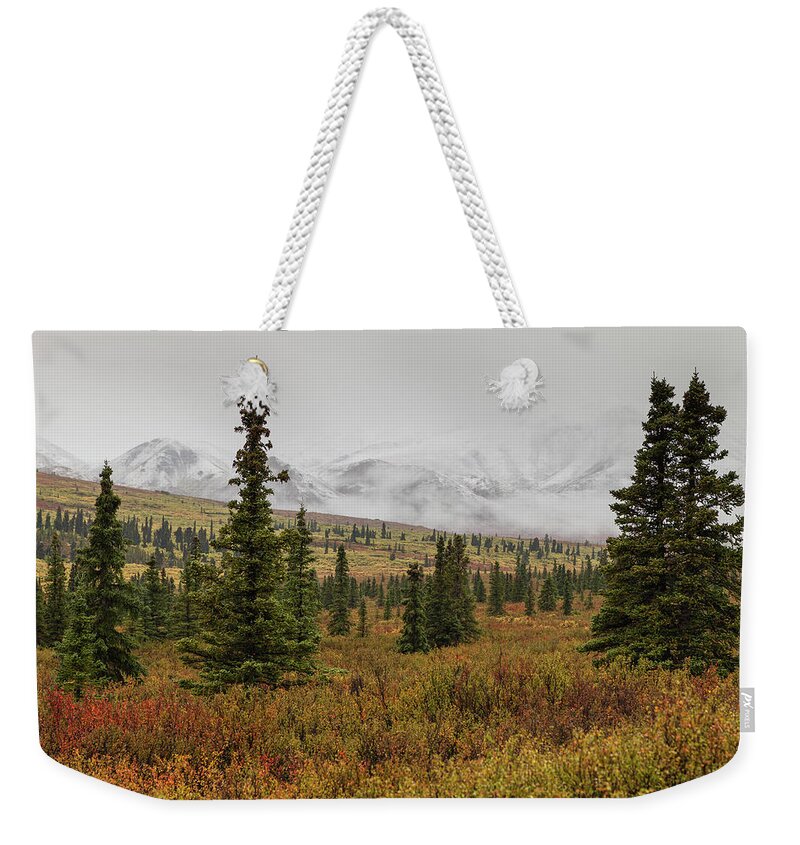 Alaska Weekender Tote Bag featuring the photograph Fall Colors Denali National Park by Scott Slone