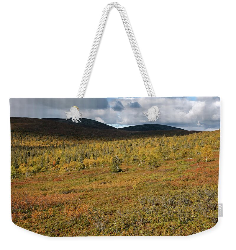 Rihmakuru Weekender Tote Bag featuring the photograph Fall Colors in Tundra by Aivar Mikko
