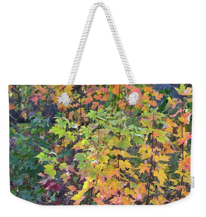 Wisconsin Weekender Tote Bag featuring the photograph Fall Colors of Wisconsin by Ray Mathis