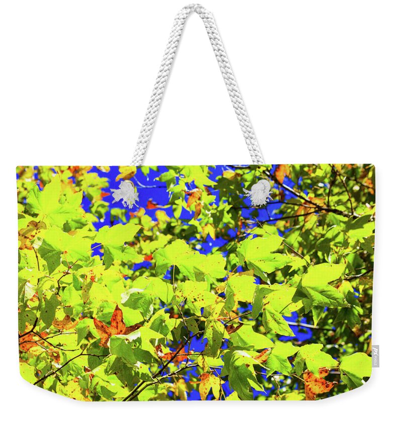 Arizona Weekender Tote Bag featuring the photograph Fall Colors by Raul Rodriguez