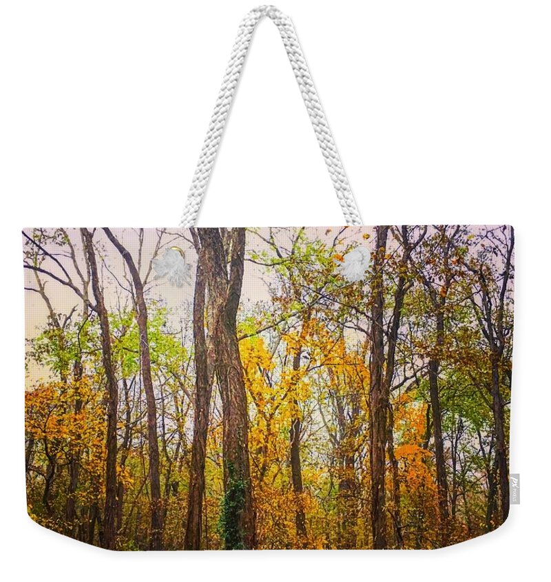 Fall Weekender Tote Bag featuring the photograph Fall Farewell by Michael Oceanofwisdom Bidwell