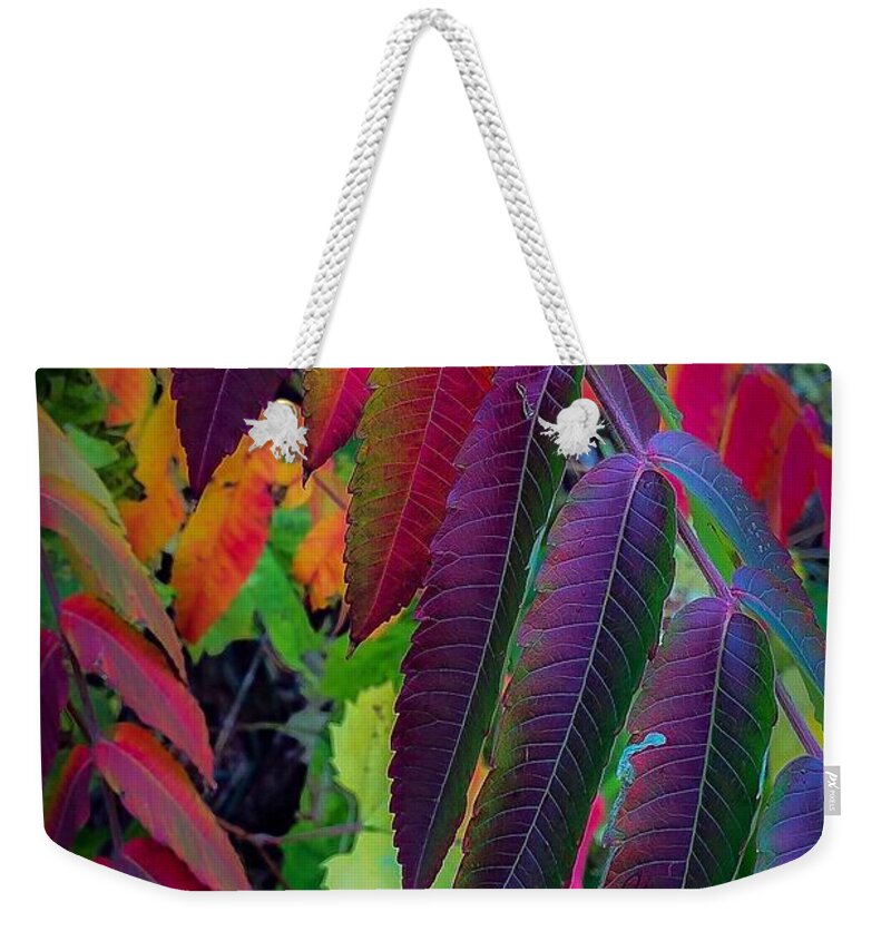 Weekender Tote Bag featuring the photograph Fall Feathers by Kendall McKernon