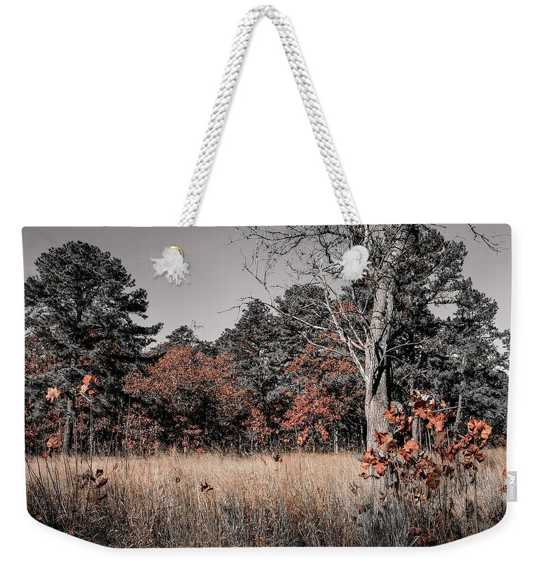 Fall Weekender Tote Bag featuring the photograph Fall Field Fun by Glenn DiPaola