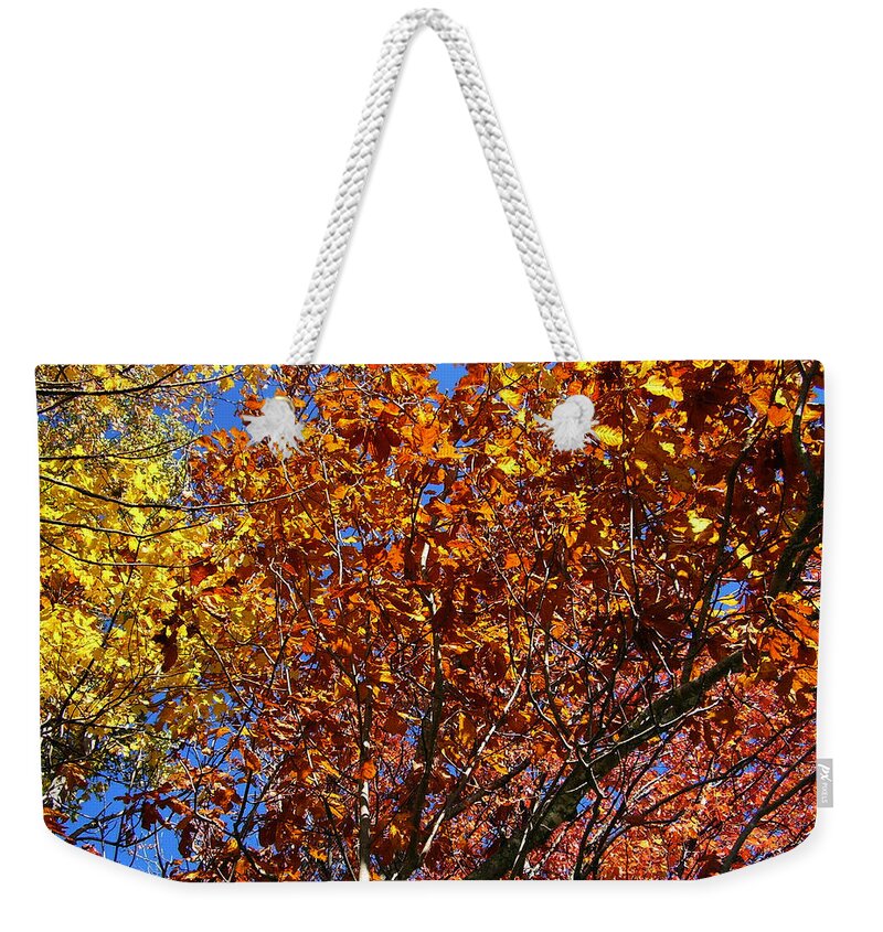 Fall Weekender Tote Bag featuring the photograph Fall by Flavia Westerwelle