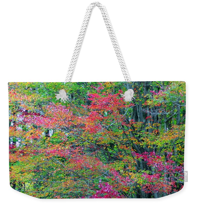 Fall Weekender Tote Bag featuring the photograph Fall Foliage by Mary Courtney