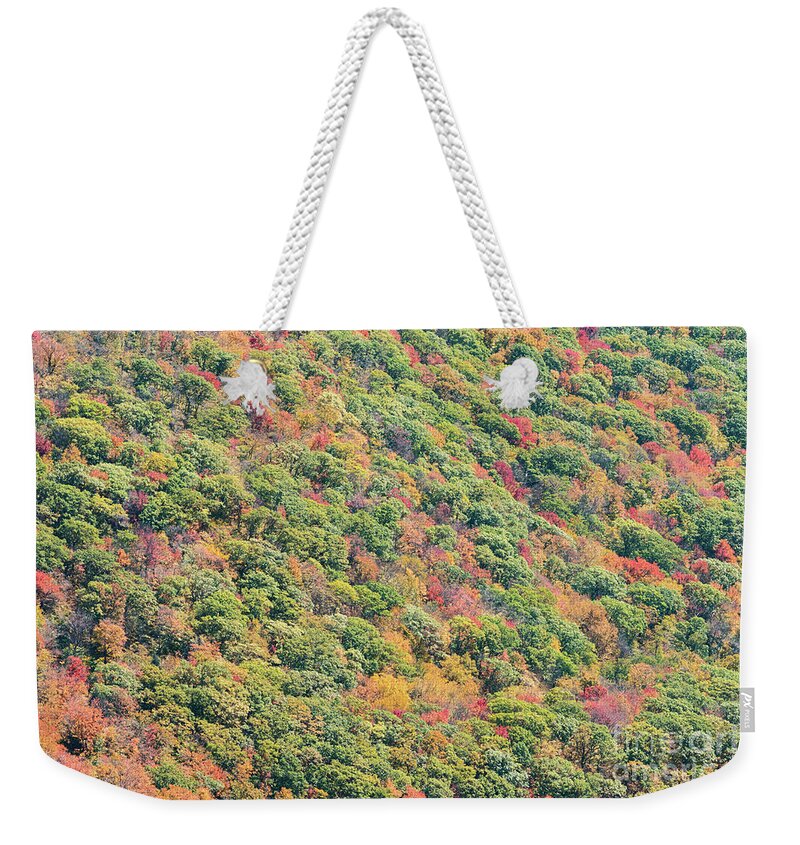 Fall Weekender Tote Bag featuring the photograph Fall Foliage by Zawhaus Photography