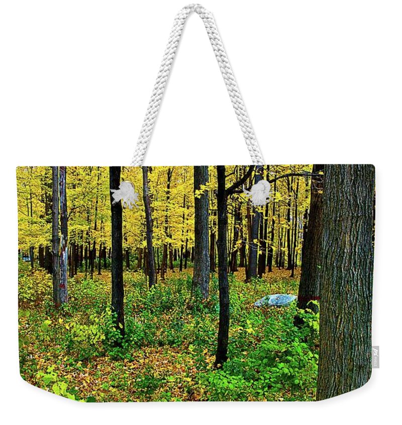 Fall Weekender Tote Bag featuring the photograph Fall Fusion by Burney Lieberman