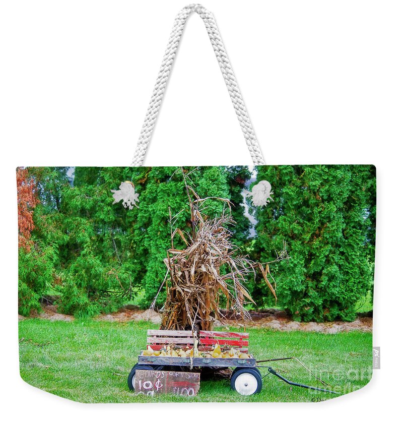 Fall Weekender Tote Bag featuring the photograph Fall Gourds and Corn Shocks by David Arment