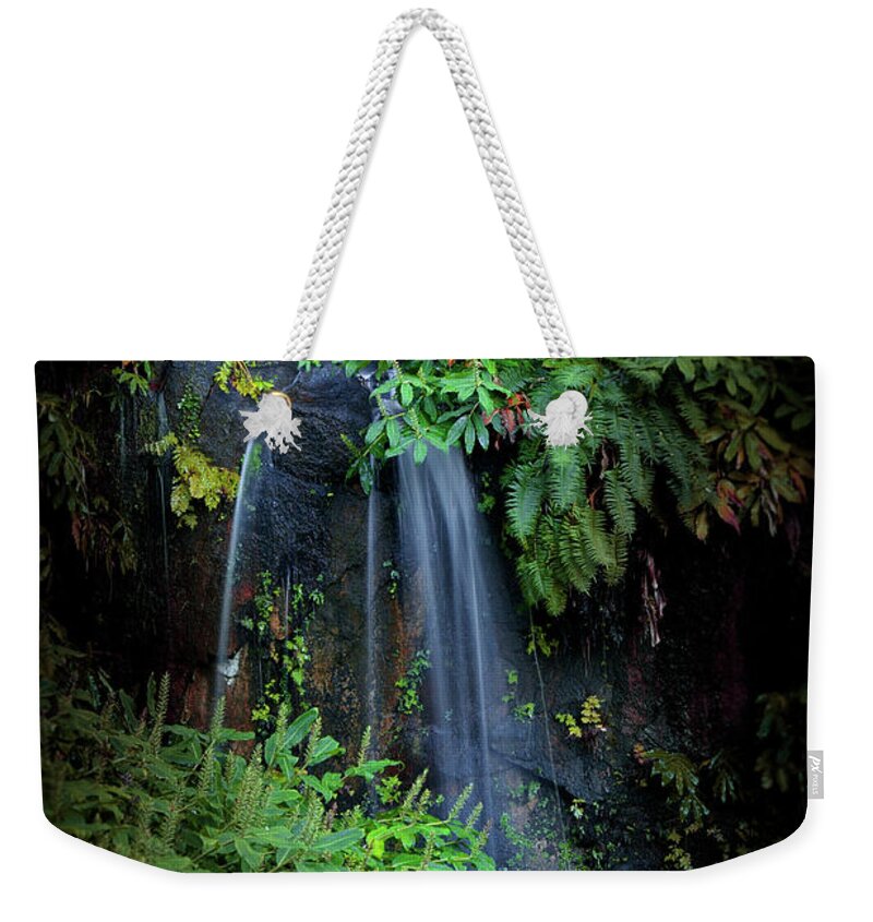 Autumn Weekender Tote Bag featuring the photograph Fall in Eden by Carlos Caetano