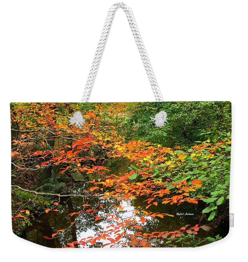 Fall Leaves Weekender Tote Bag featuring the photograph Fall is in the Air by Rafael Salazar