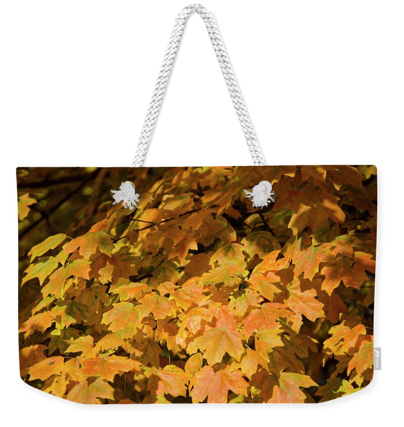 Reid Callaway Autumn Leave Images Weekender Tote Bag featuring the photograph Fall Leaves 10 Autumn Leaf Colors Art by Reid Callaway