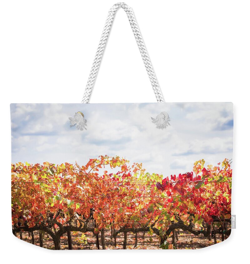 Napa Valley Weekender Tote Bag featuring the photograph Fall Leaves by Aileen Savage