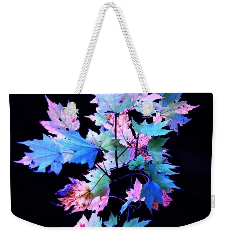 Autumn Weekender Tote Bag featuring the photograph Fall Leaves1 by Merle Grenz