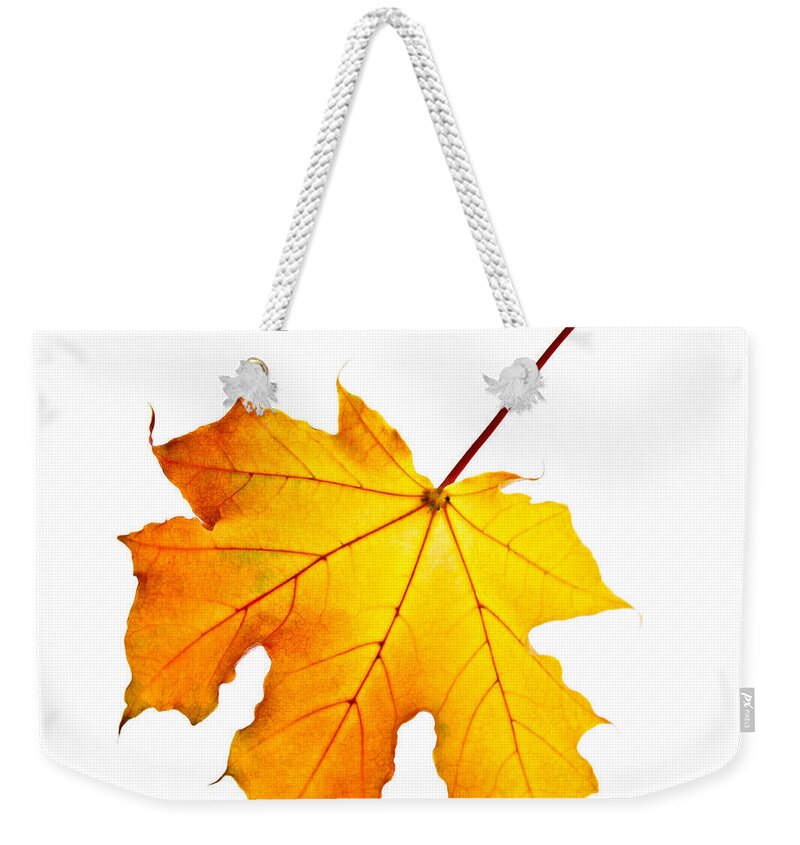 Leaf Weekender Tote Bag featuring the photograph Fall maple leaf by Elena Elisseeva