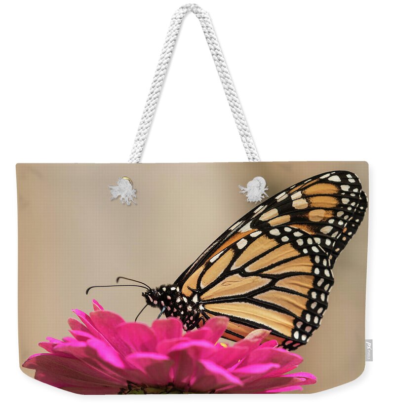Monarch Butterfly Weekender Tote Bag featuring the photograph Fall Monarch 2016-4 by Thomas Young