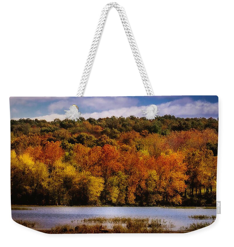 Fall Weekender Tote Bag featuring the photograph Fall on Springfield Lake by Allin Sorenson